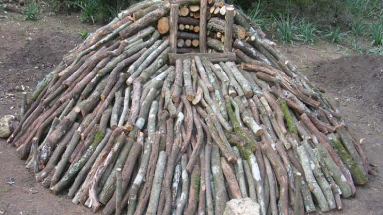 L’arte del carbone in Irpinia: ISTORY OF LACENO