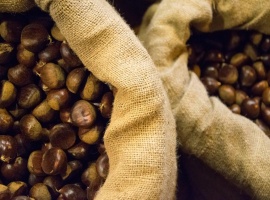 Castagna di Montella IGP