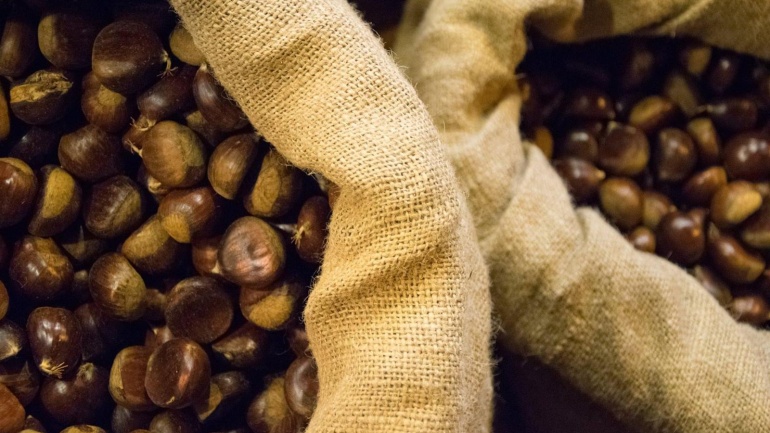 Castagna di Montella IGP