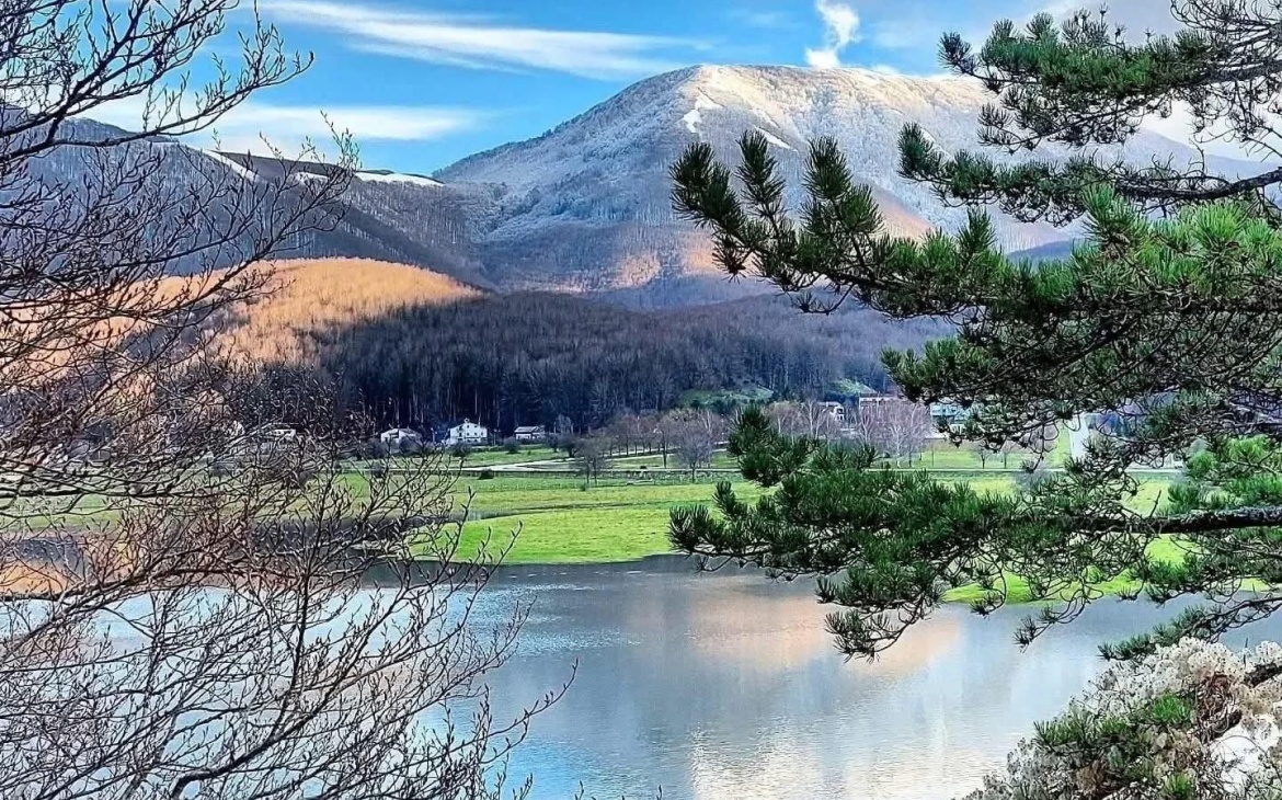 Facciamo crescere la famiglia Laceno – Collaborazioni Web Laceno