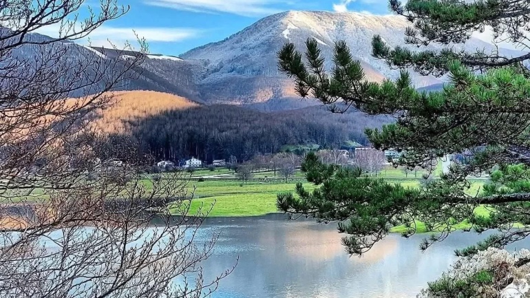 Facciamo crescere la famiglia Laceno – Collaborazioni Web Laceno