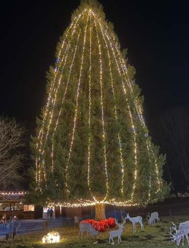 Feste Natalizie a Laceno – Natale a Lago Laceno