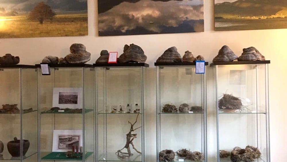 Museo Lago Laceno Museo Lago Laceno